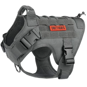Pet Sports Chest Pet Chest Strap Pet Safety Chest